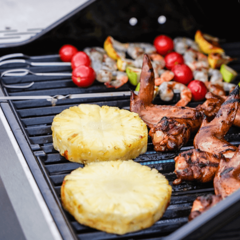 Monument Grills Mesa 200S | Foldable Stainless Gas Grill