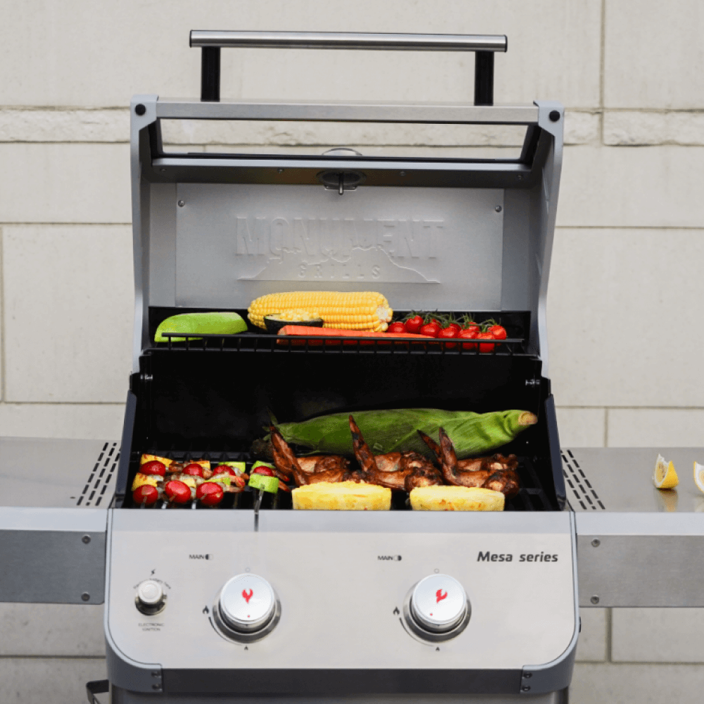 Monument Grills Mesa 200S | Foldable Stainless Gas Grill