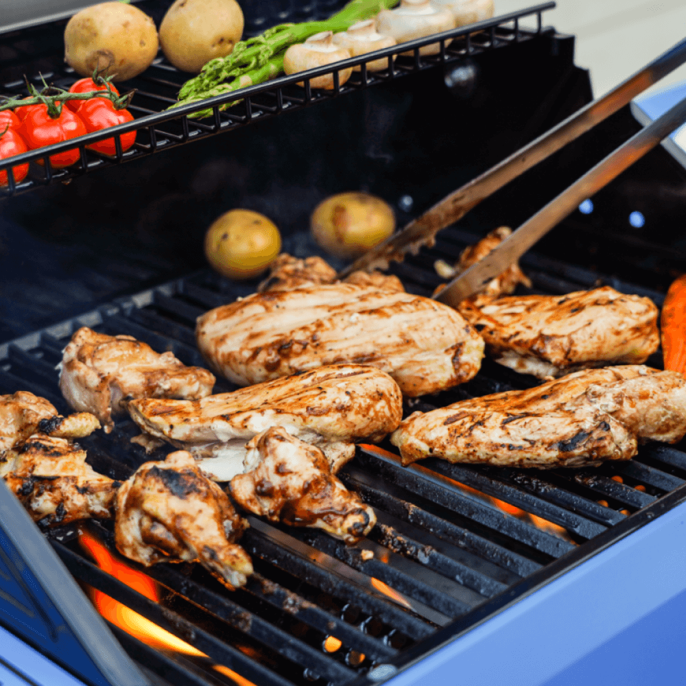 Monument Grills Mesa 200S | Foldable Stainless Gas Grill