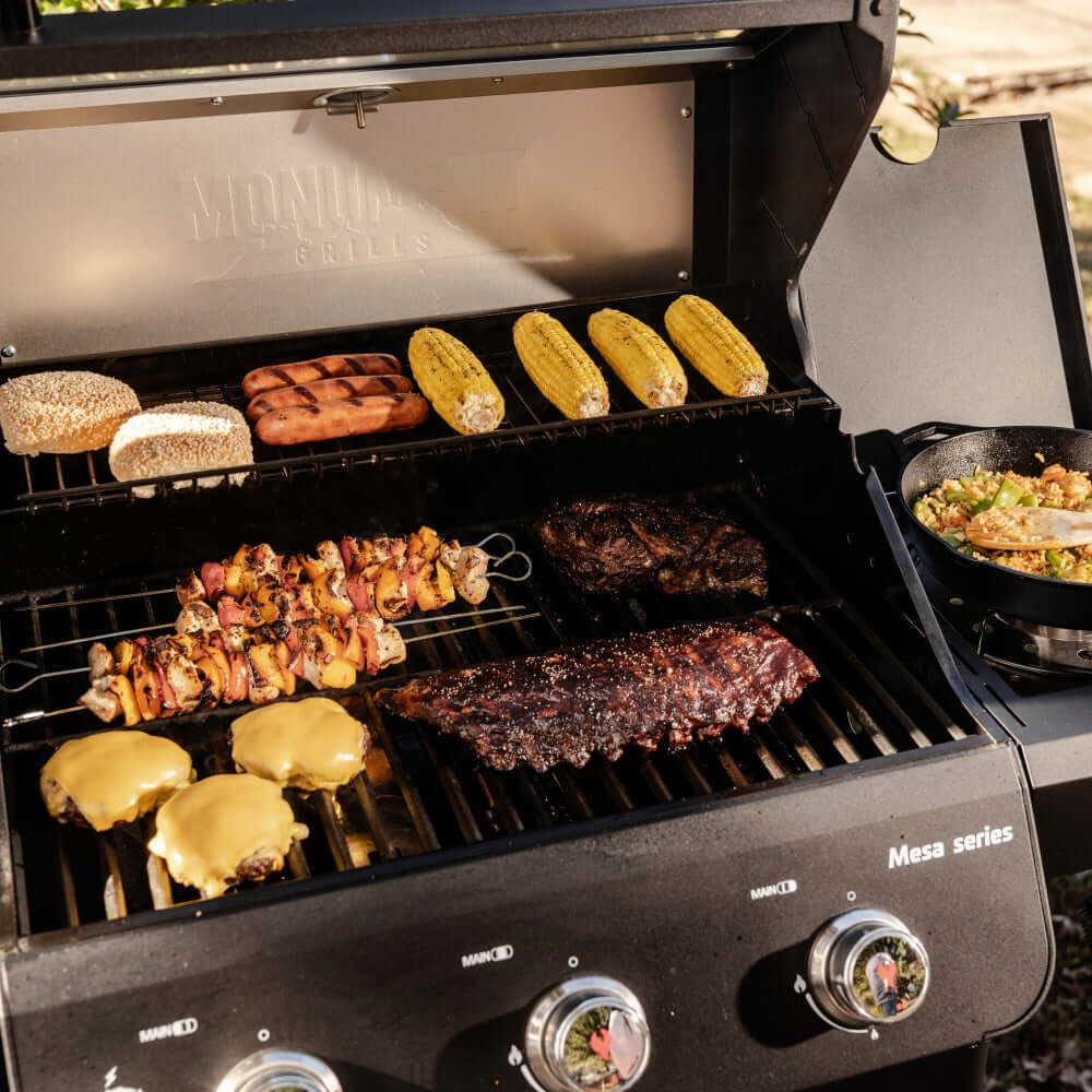 Monument Mesa 325 | Black Propane Gas Grill
