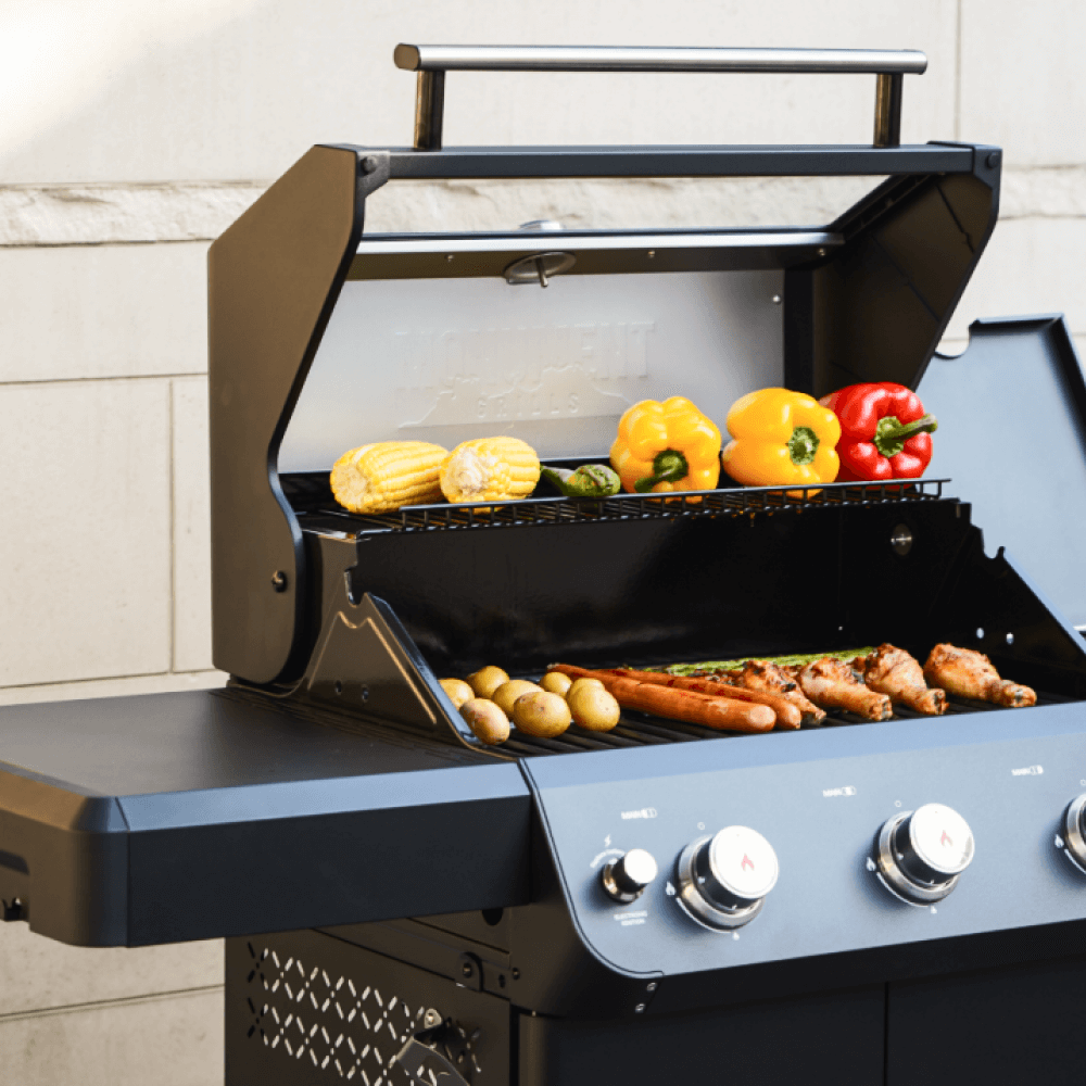 Monument Mesa 325 | Black Propane Gas Grill